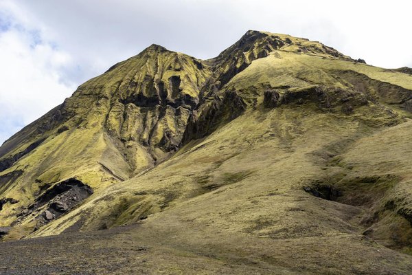 Les mythes de la naturopathie